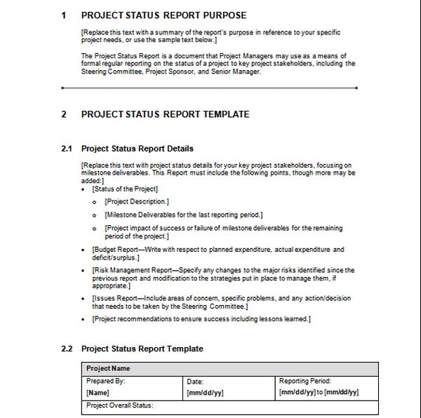 Project Status Report Template (2)